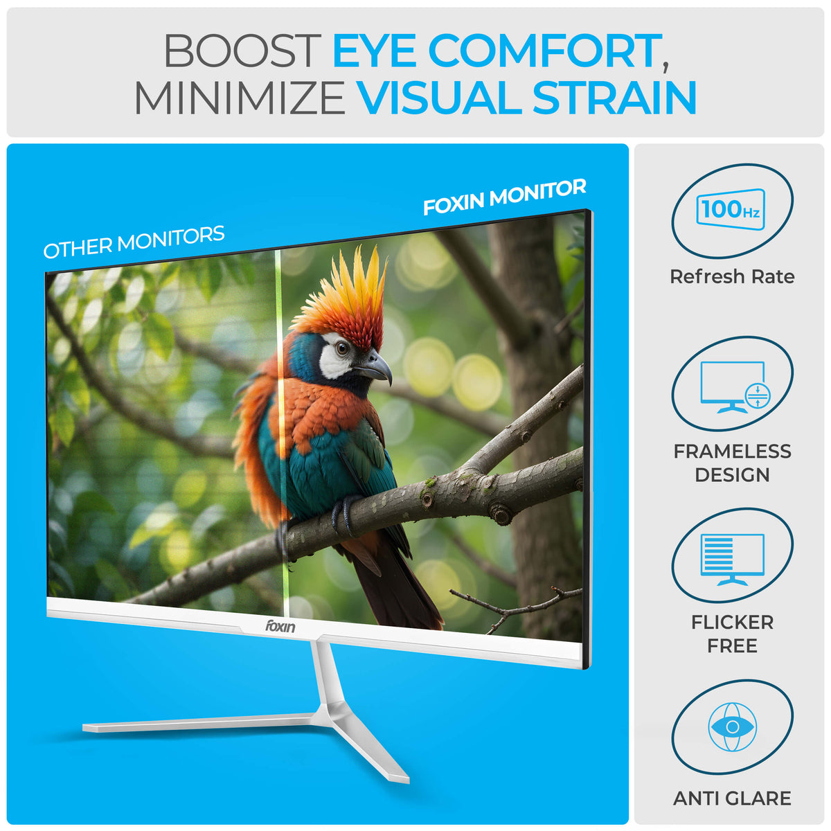 Foxin 24 Inch Full HD LED Monitor (1920 x 1080) Elite Series | IPS Panel | 100Hz | TRUE PIXEL | Anti-Glare &amp; Flicker Free | Bezel-Less | 16.7 Million Colors | 3 Years Warranty