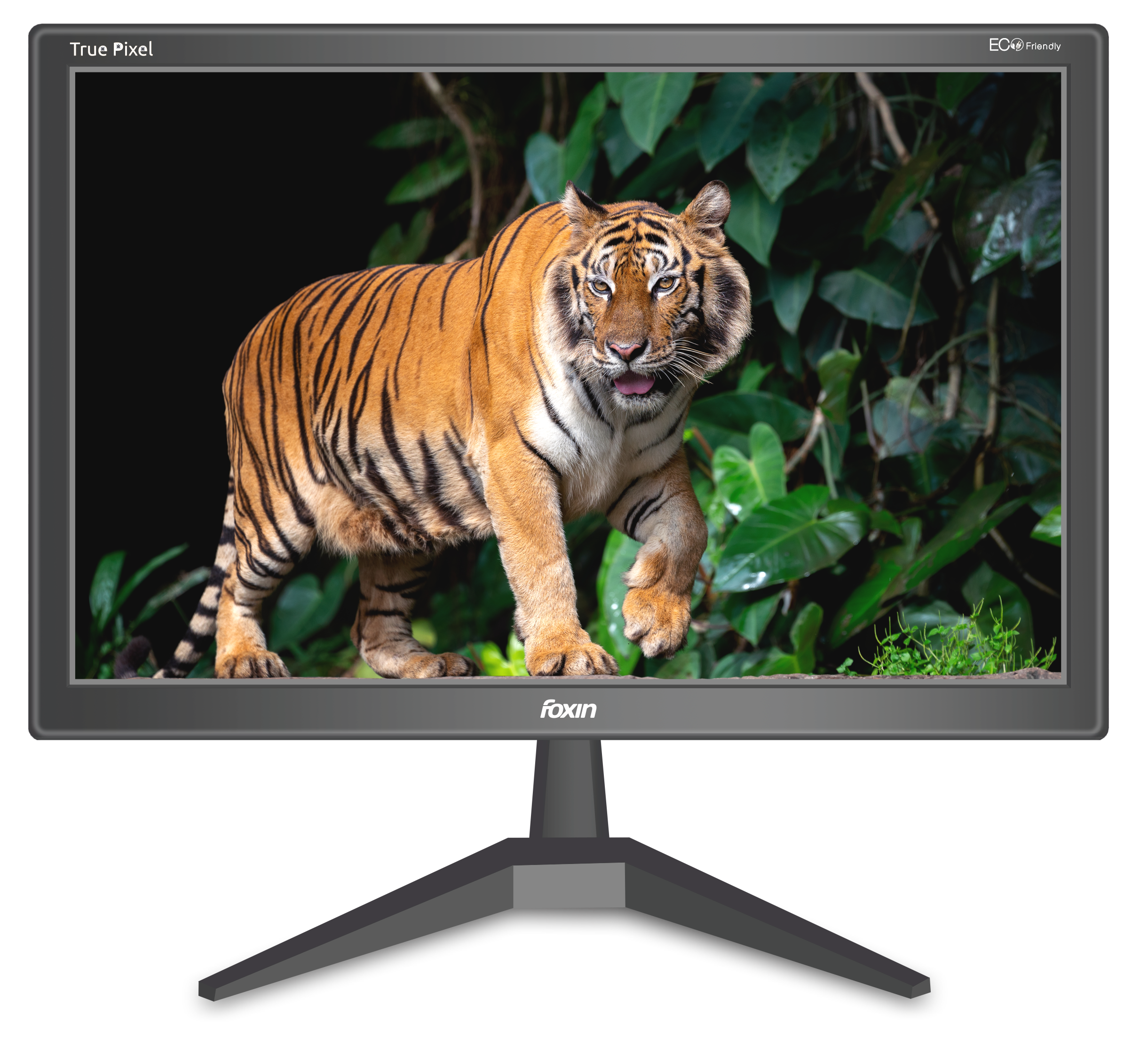 foxin 20 inch monitor